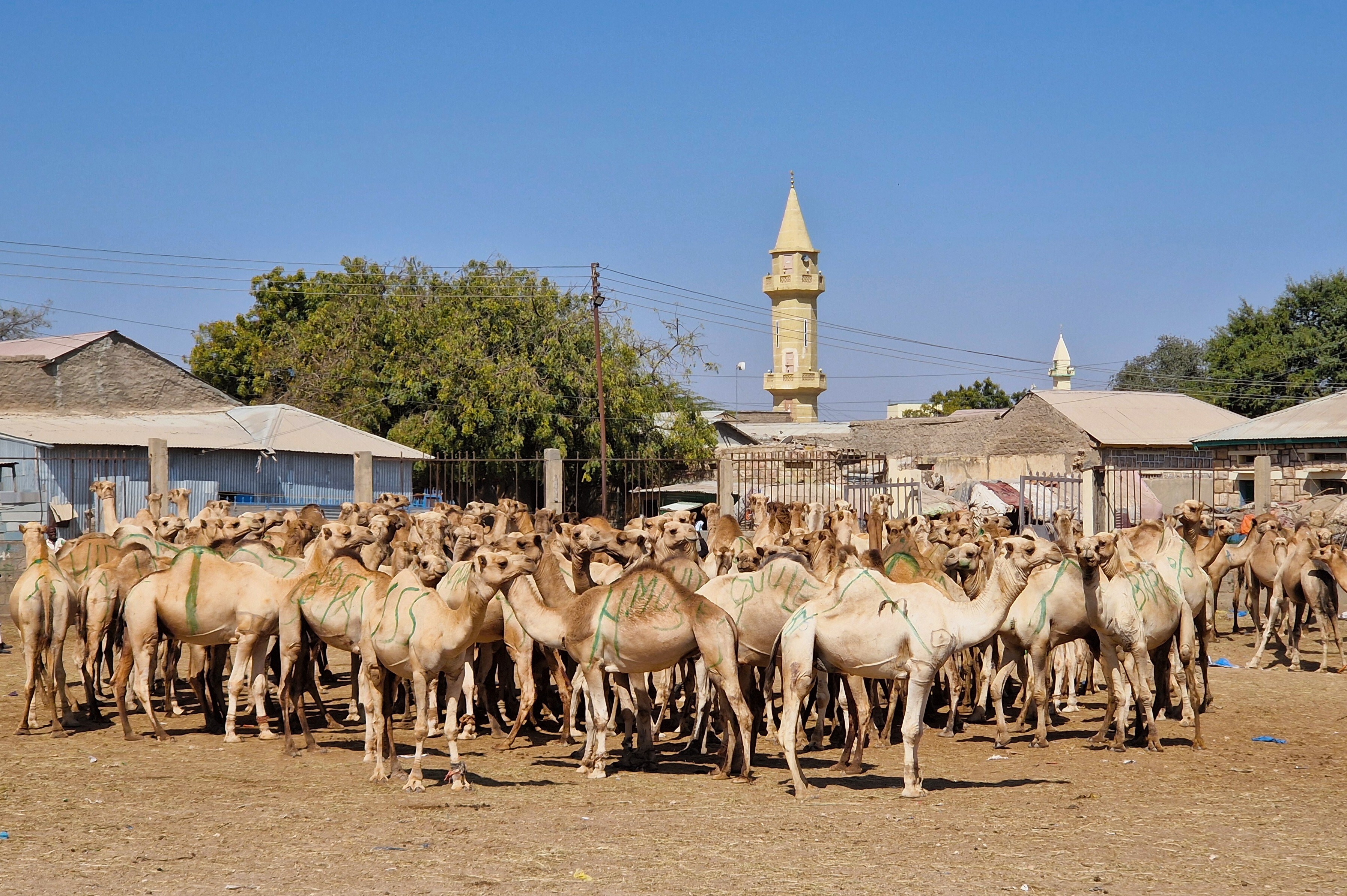 Somaliland 